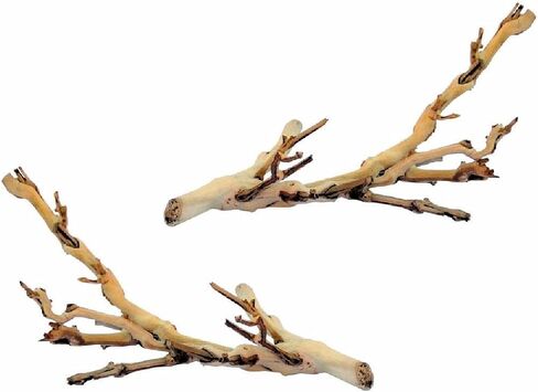 (2 Pack) Exo Terra Forest Branch, Small in Saudi Arabia