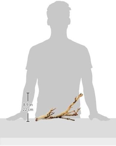 (2 Pack) Exo Terra Forest Branch, Small in Saudi Arabia