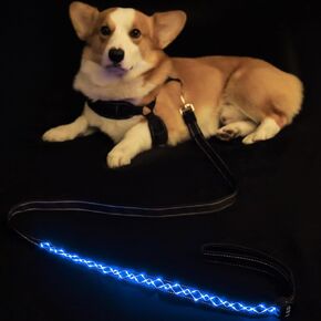مقود الكلاب بإضاءة LED من فن الحيوانات الأليفة، مقود نايلون قابل لإعادة الشحن للمشي ليلاً، طول قابل للتعديل 4-6 أقدام، مقاوم للماء ومتين باللون الأزرق in Kuwait