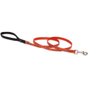 LupinePet Originals 1/2" Go Go Gecko 6-foot Padded Handle Leash for Small Pets
