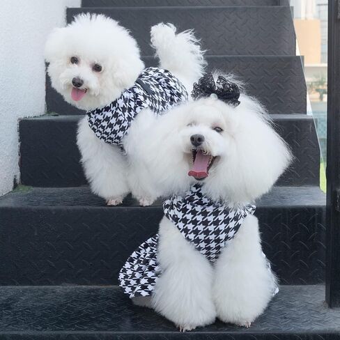 CuteBone Turtleneck Dog Velvet Dress Halloween Puppy Skirt Costume Pet Clothes Cat Apparel with Bow Hair Rope for Small Dogs CVD23M in Kuwait