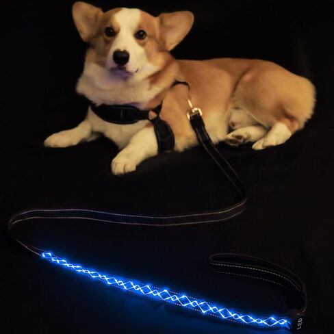 مقود الكلاب بإضاءة LED من فن الحيوانات الأليفة، مقود نايلون قابل لإعادة الشحن للمشي ليلاً، طول قابل للتعديل 4-6 أقدام، مقاوم للماء ومتين باللون الأزرق in Kuwait