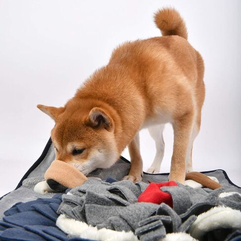 Puppia Snorkeling - Cream&Navy - M (PAUD-NW1863-CN-M) in Kuwait
