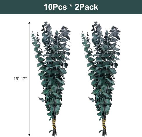 20 قطعة من أوراق الأوكالبتوس المحفوظة للاستحمام من VaryFloral، سيقان الأوكالبتوس المجففة الحقيقية لديكور المنزل، نباتات مجففة لترتيب الأزهار، قطعة مركزية للطاولة، نباتات خضراء مجففة للتعليق، حزمتان in Kuwait