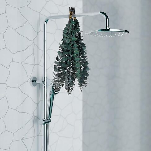 20 قطعة من أوراق الأوكالبتوس المحفوظة للاستحمام من VaryFloral، سيقان الأوكالبتوس المجففة الحقيقية لديكور المنزل، نباتات مجففة لترتيب الأزهار، قطعة مركزية للطاولة، نباتات خضراء مجففة للتعليق، حزمتان in Kuwait