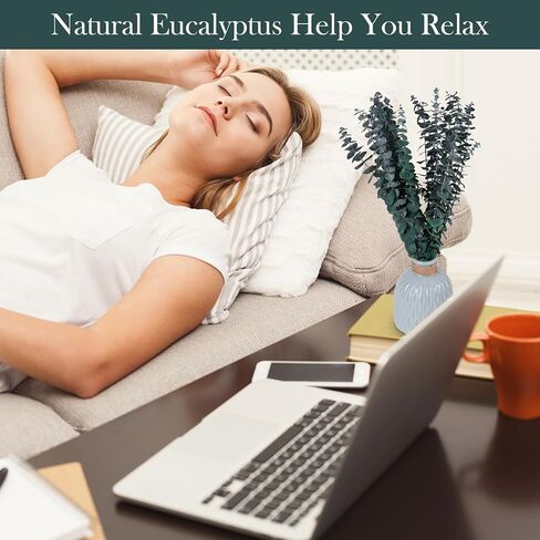 20 قطعة من أوراق الأوكالبتوس المحفوظة للاستحمام من VaryFloral، سيقان الأوكالبتوس المجففة الحقيقية لديكور المنزل، نباتات مجففة لترتيب الأزهار، قطعة مركزية للطاولة، نباتات خضراء مجففة للتعليق، حزمتان in Kuwait