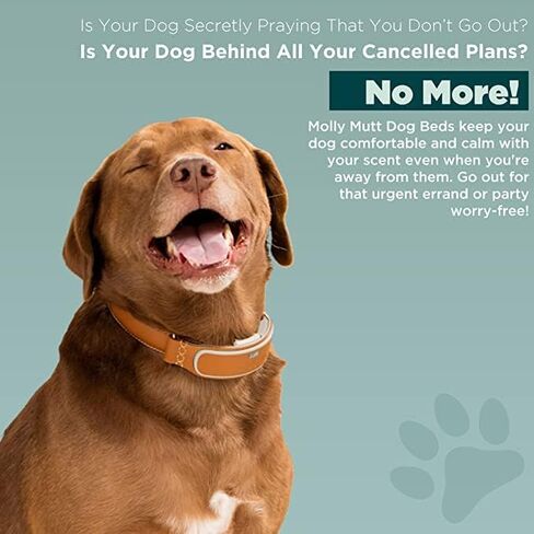 Molly Mutt Medium to Large Dog Bed Cover - Rocketman Print - Measures 27"x36"x5’’ - 100% Cotton - Durable - Breathable - Sustainable - Machine Washable Dog Bed Cover in Kuwait