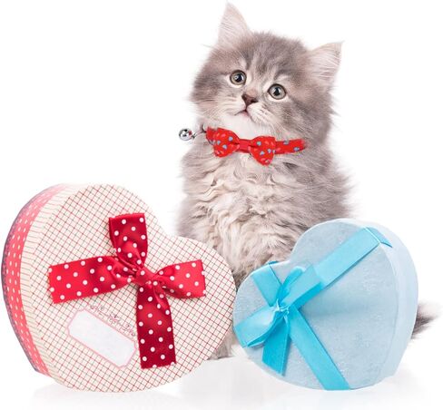 مجموعة من 3 قطع من طوق عيد الحب مع ربطة عنق وأجراس باللون الأحمر والوردي والأزرق على شكل قلب، أطواق ربطة عنق قابلة للتعديل وقابلة للإزالة وطوق للقطط وإكسسوارات الحيوانات الأليفة للعطلات والحيوانات الأليفة الصغيرة والجرو والأرنب in Kuwait