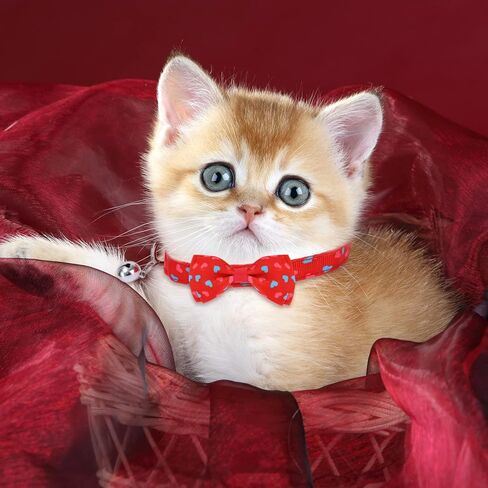 مجموعة من 3 قطع من طوق عيد الحب مع ربطة عنق وأجراس باللون الأحمر والوردي والأزرق على شكل قلب، أطواق ربطة عنق قابلة للتعديل وقابلة للإزالة وطوق للقطط وإكسسوارات الحيوانات الأليفة للعطلات والحيوانات الأليفة الصغيرة والجرو والأرنب in Kuwait