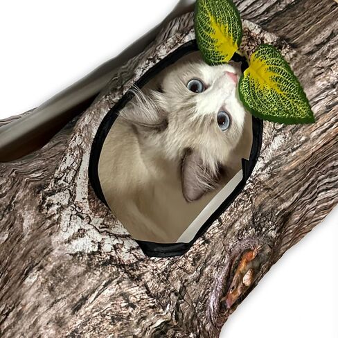 نفق القطط AmaCielo، أنفاق القطط للقطط الداخلية، خيمة لعب للقطط قابلة للتمدد وقابلة للتمدد، لعبة متاهة بيت القطط، حجم كبير، تخزين مريح للقطط، الجرو، كيتي، أرنب in Kuwait