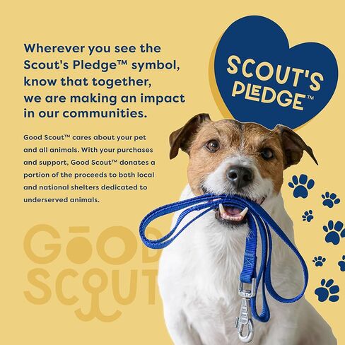 Good Scout Heavy Duty Bungee Leash, Walking & Training Leash for Puppies & Adult Dogs, Blue, Small in Kuwait