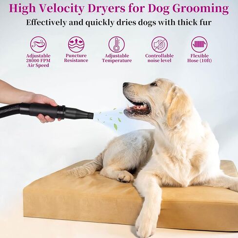 Dog Hair Dryer, DUCKBOY High Velocity Pet Hair Dryer with 3.2HP Adjustable Speed and Temperature (35°C-70°C), Professional Dog Hair Force Dryer Blower for Grooming, Noise Reduction, 3 Nozzle in Kuwait