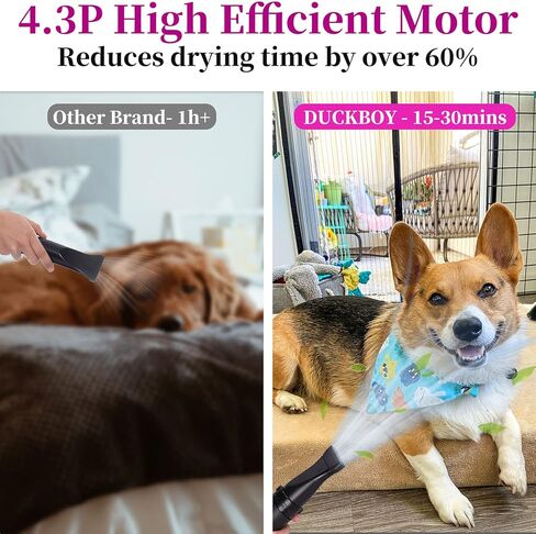 Dog Hair Dryer, DUCKBOY High Velocity Pet Hair Dryer with 3.2HP Adjustable Speed and Temperature (35°C-70°C), Professional Dog Hair Force Dryer Blower for Grooming, Noise Reduction, 3 Nozzle in Kuwait