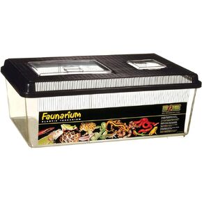 Exo Terra Faunarium, Flat Home, Plastic Reptile Terrarium, Medium (Pack of 1), PT2300 in Kuwait