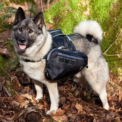 Canine Equipment Ultimate Trail Dog Pack, Large, Black in Kuwait