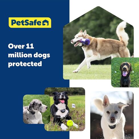 PetSafe Guardian GPS Fence Collar Battery - Extra or Replacement Lithium-Ion Battery - Up to 3 Days Battery Life - Compatible with Guardian GPS Collars Only in Saudi Arabia