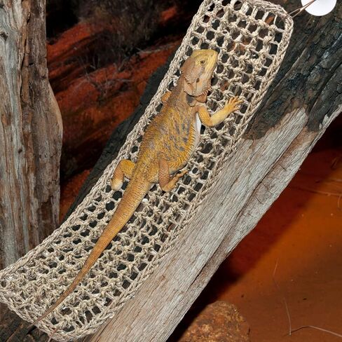 Silkfly Large Beard Dragon Hammock, 30 x 7 Inch, Rectangle, Brown in Saudi Arabia