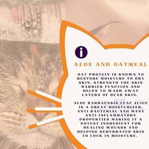 شامبو بيكاردميدس 4 بيتس فريش كات بالصبار والشوفان، 12 أونصة in Kuwait