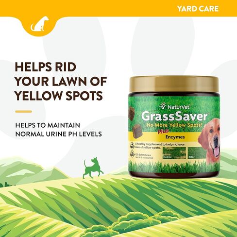 NaturVet - رقائق GrassSaver للكلاب بالإضافة إلى الإنزيمات - 300 رقاقة - مكمل صحي للمساعدة في تخليص حديقتك من البقع الصفراء - مزيج تآزري من فيتامينات ب المعقدة والأحماض الأمينية in Kuwait