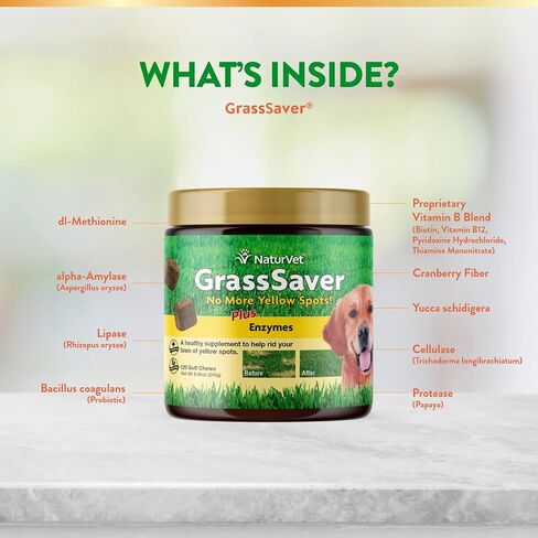 NaturVet - رقائق GrassSaver للكلاب بالإضافة إلى الإنزيمات - 300 رقاقة - مكمل صحي للمساعدة في تخليص حديقتك من البقع الصفراء - مزيج تآزري من فيتامينات ب المعقدة والأحماض الأمينية in Kuwait