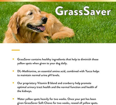 NaturVet - رقائق GrassSaver للكلاب بالإضافة إلى الإنزيمات - 300 رقاقة - مكمل صحي للمساعدة في تخليص حديقتك من البقع الصفراء - مزيج تآزري من فيتامينات ب المعقدة والأحماض الأمينية in Kuwait