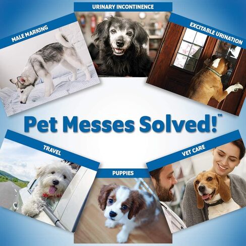 خارج! رعاية الحيوانات الأليفة حفاضات الكلب الذكور القابل للتصرف | أغطية رجالية ماصة مع مانعة للتسرب | XS/صغير، 12 قطعة in Kuwait