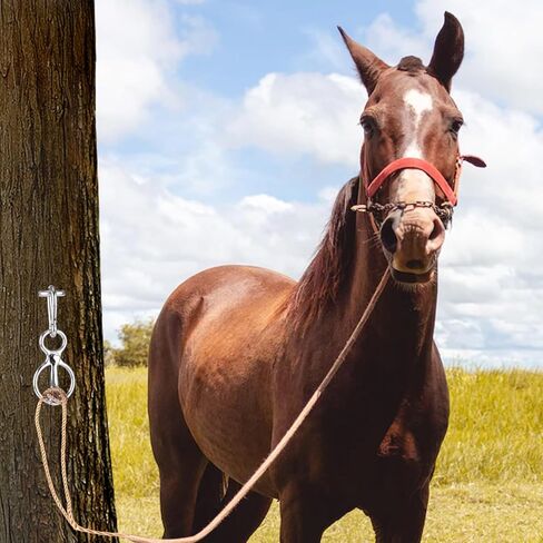 Heavy Duty Horse Tie Ring, Stainless Steel Horse Tie Ring Blocker Tie Ring for Horses Quick Release Supplies for Horse Harness with Eye Bolt Prevents Horse From Pulling Back in Saudi Arabia