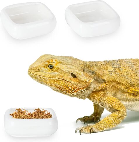 Reptile Food Bowls Ceramic Square Reptile Water Food Dish, Pet Food Bowl for Lizards, Young Bearded Dragons, Gecko Tortoise Spider, Small Snakes (White, Small 1-Pack) in Kuwait