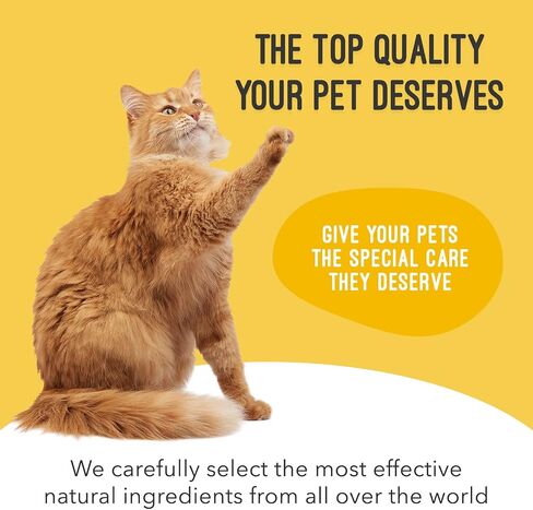 Cat & Dog Urinary Tract Treatment, Bladder & Kidney Support for Dogs and Cats, Powerful yet Gentle Pet Care, with Liquid Cranberry & Glucosamine, Chicken Flavor, 6 oz Bottle, 1 Pack in Kuwait
