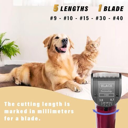 Detachable Adjustable Pet Dog Grooming Clipper 5-in-1 Blade in Kuwait