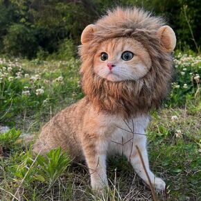 شعر مستعار PenVinoo Lion Mane للقطط والكلاب والقطط، أزياء مضحكة للقطط الأليفة لعيد الهالوين والحفلات والتقاط الصور (مقاس S، بني فاتح) in Kuwait