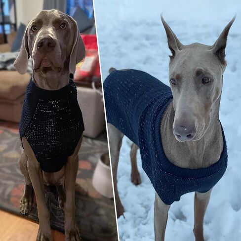 KYEESE Dog Sweaters with Leash Hole for Small Dogs Warm Pullover Dog Knitwear with Reflective Yarn for Fall Winter, Navyblue, XS in Kuwait