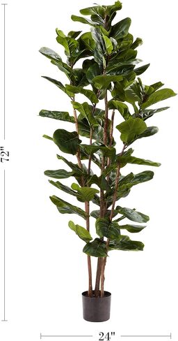 نبات مطاطي صناعي - شجرة صناعية مقاس 70 بوصة بأوراق ذات ملمس طبيعي - نبات داخلي واقعي في وعاء لديكور المكتب أو المنزل من بيور جاردن (أخضر) in Kuwait