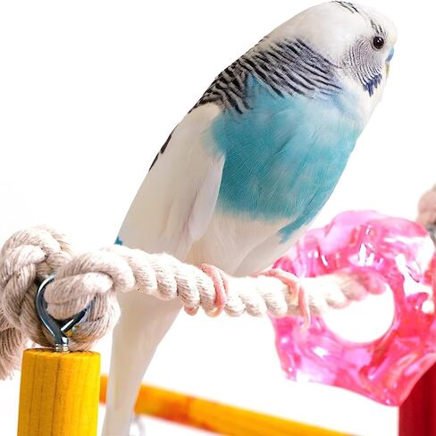 Penn-Plax Bird Life Wooden Playpen – Perfect for Parakeets, Lovebirds, Parrotlets, Cockatiels, and Green Cheek Conures – Medium in Kuwait