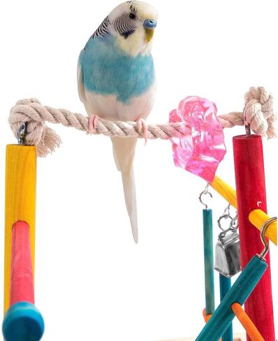 Penn-Plax Bird Life Wooden Playpen – Perfect for Parakeets, Lovebirds, Parrotlets, Cockatiels, and Green Cheek Conures – Medium in Kuwait