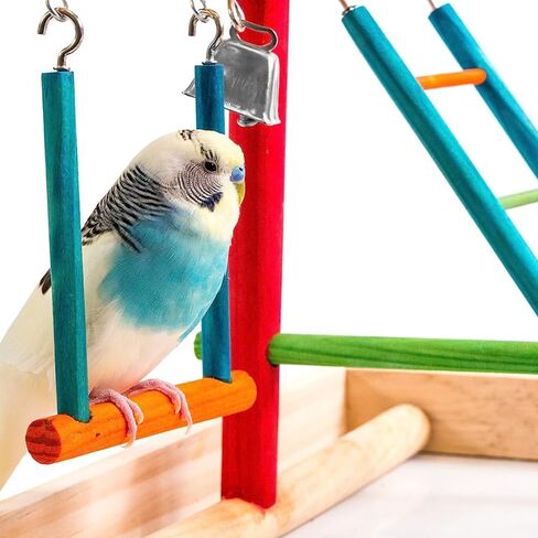 Penn-Plax Bird Life Wooden Playpen – Perfect for Parakeets, Lovebirds, Parrotlets, Cockatiels, and Green Cheek Conures – Medium in Kuwait