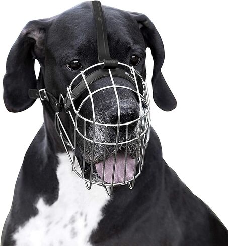 BRONZEDOG المعادن كمامة سلك سلة الكلب الدانماركي العظيم كلب الدرواس سانت برنارد قناع مع الأشرطة الجلدية كمامات للكلاب الكبيرة جدا (XL) in Kuwait