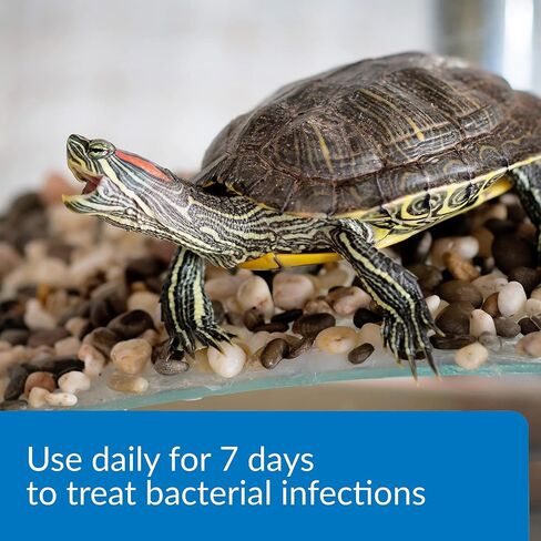 API TURTLE FIX Nonbacilli Turtle Remedy زجاجة 4 أونصة in Saudi Arabia
