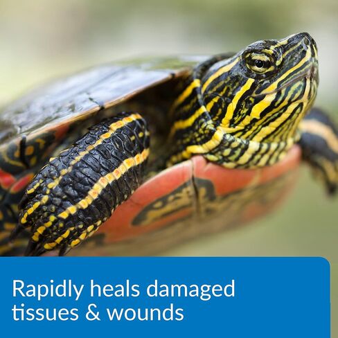 API TURTLE FIX Nonbacilli Turtle Remedy زجاجة 4 أونصة in Saudi Arabia