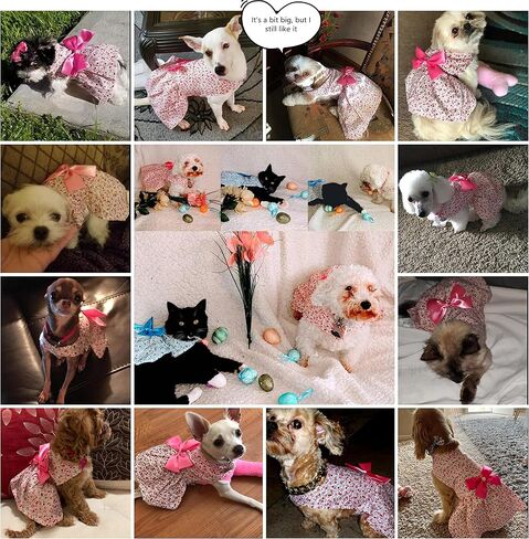 Petroom Sweetie Pup Dog Dress، قميص لطيف بعقدة على شكل فيونكة للكلاب الصغيرة (وردي، XXS) in Saudi Arabia