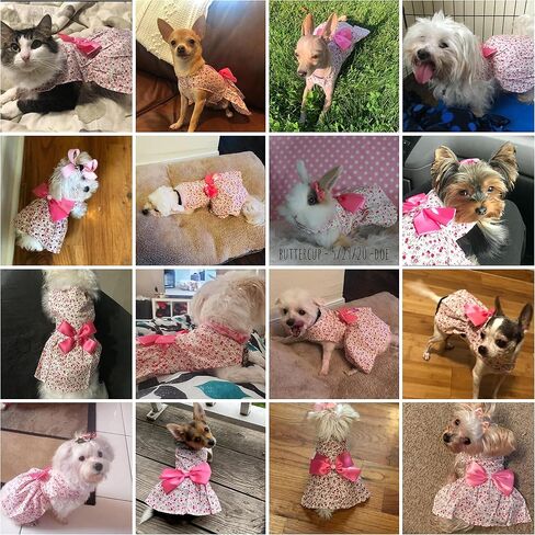 Petroom Sweetie Pup Dog Dress، قميص لطيف بعقدة على شكل فيونكة للكلاب الصغيرة (وردي، XXS) in Saudi Arabia