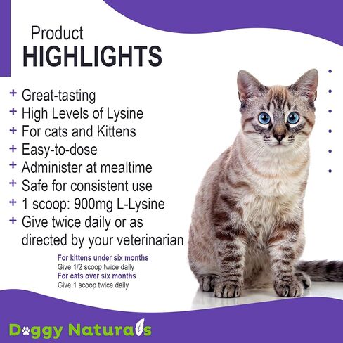 Trulysine L-Lysine للقطط مسحوق عن طريق الفم لدعم المناعة 21.2oz/600g - القطط والقطط من جميع الأعمار، العطس، سيلان الأنف، العيون المائية - نكهة الأسماك والدواجن (الولايات المتحدة الأمريكية) (600 جرام (500 مجم / مغرفة)) in Kuwait