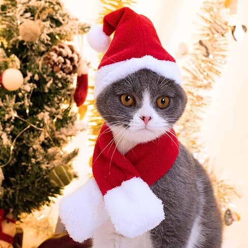 YUJUN 2PCS Cat Christmas Costume Christmas Pet Santa Hat with Scarf Outfit for Puppy Kitten Christmas Party Costume Supplies in Kuwait