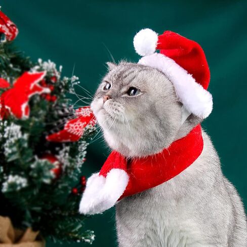 YUJUN 2PCS Cat Christmas Costume Christmas Pet Santa Hat with Scarf Outfit for Puppy Kitten Christmas Party Costume Supplies in Kuwait