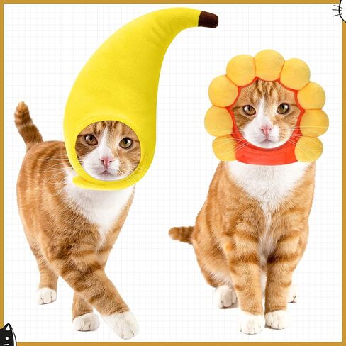 Weewooday 5 Pcs Cat Hat, Lion, Frog, Rabbit, Sunflower, Banana in Kuwait