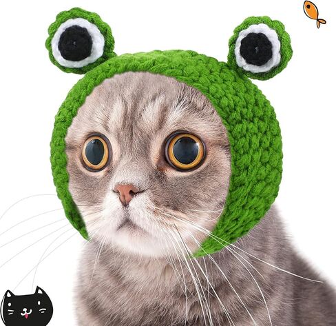 Weewooday 5 Pcs Cat Hat, Lion, Frog, Rabbit, Sunflower, Banana in Kuwait