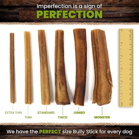 Sancho & Lola's Closet USA Black Angus Bully Sticks for Dogs-6-Inch Standard 5PK Gourmet Small Batch Grain-Free Rawhide-Free Pizzle Dog Chews - No Odor in Saudi Arabia