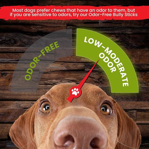 Sancho & Lola's Closet USA Black Angus Bully Sticks for Dogs-6-Inch Standard 5PK Gourmet Small Batch Grain-Free Rawhide-Free Pizzle Dog Chews - No Odor in Saudi Arabia