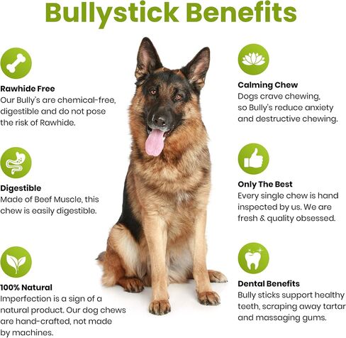Sancho & Lola's Closet USA Black Angus Bully Sticks for Dogs-6-Inch Standard 5PK Gourmet Small Batch Grain-Free Rawhide-Free Pizzle Dog Chews - No Odor in Saudi Arabia