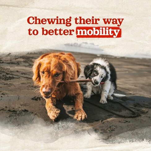 أعواد كولاجين الذواقة المغلفة من ناتشورال فارم (4 بوصات، 25 عبوة) - مغلفة بلحوم البقر الحقيقية، 95% من الكولاجين الطبيعي للمضغ للكلاب، تدعم المفاصل الصحية والجلد والفرو - الأفضل للكلاب الصغيرة والمتوسطة in Kuwait